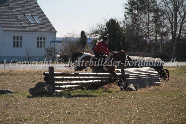 IMG_9782.JPG