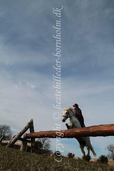 IMG_9949.JPG
