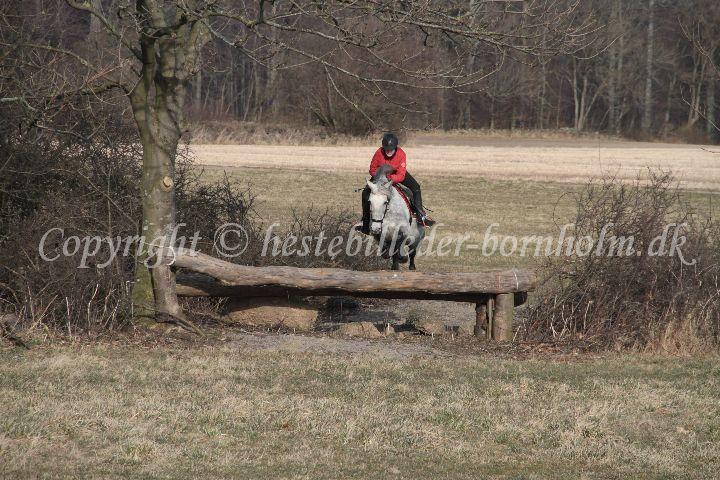 IMG_9986.JPG