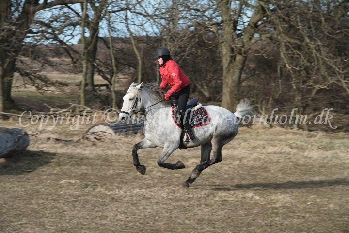 IMG_9992.JPG