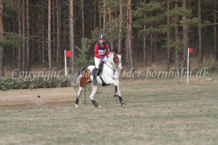 IMG_2818.JPG