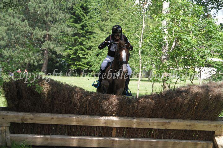 IMG_3933.JPG