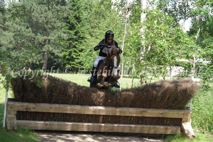 IMG_3934.JPG