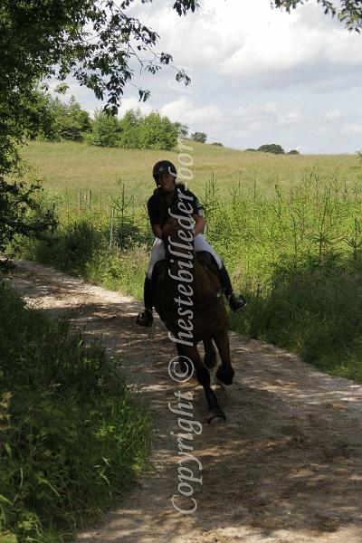 IMG_3988.JPG