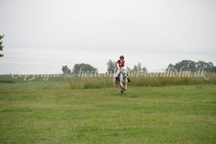 IMG_4550.JPG