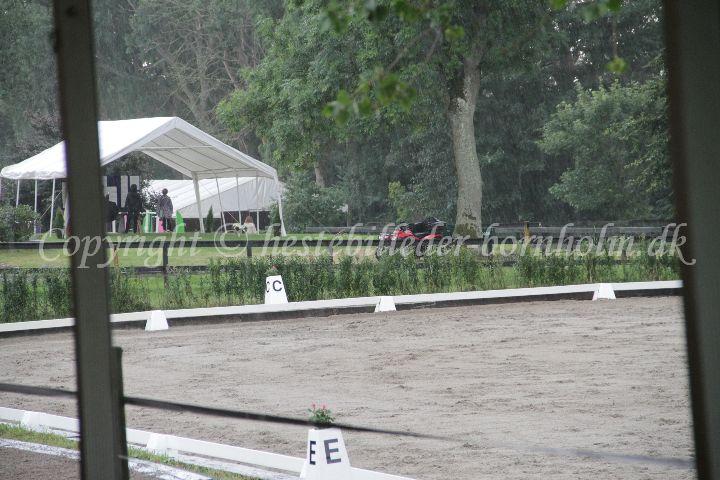 IMG_6917.JPG