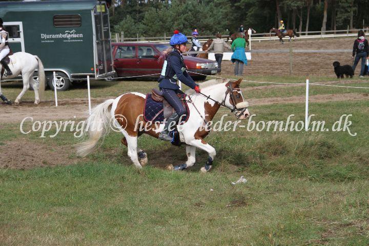 IMG_7782.JPG