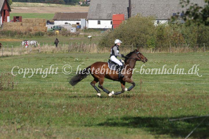 IMG_8132.JPG