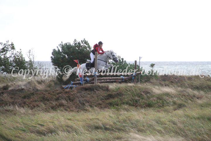 IMG_9294.JPG