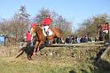 IMG_1130