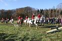 IMG_1211