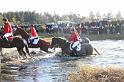 IMG_1470