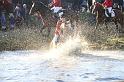 IMG_1590