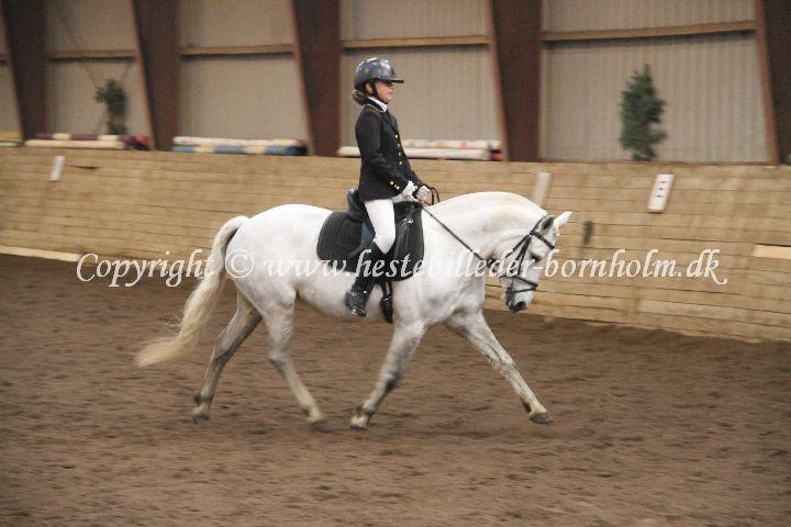 IMG_2913.JPG