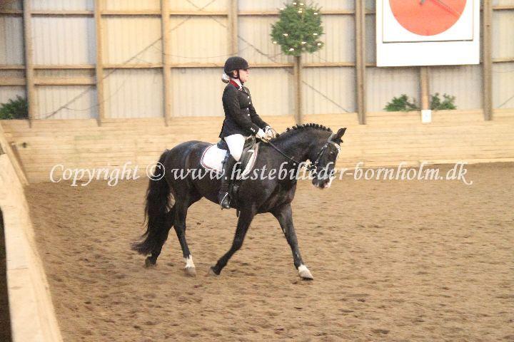 IMG_3013.JPG