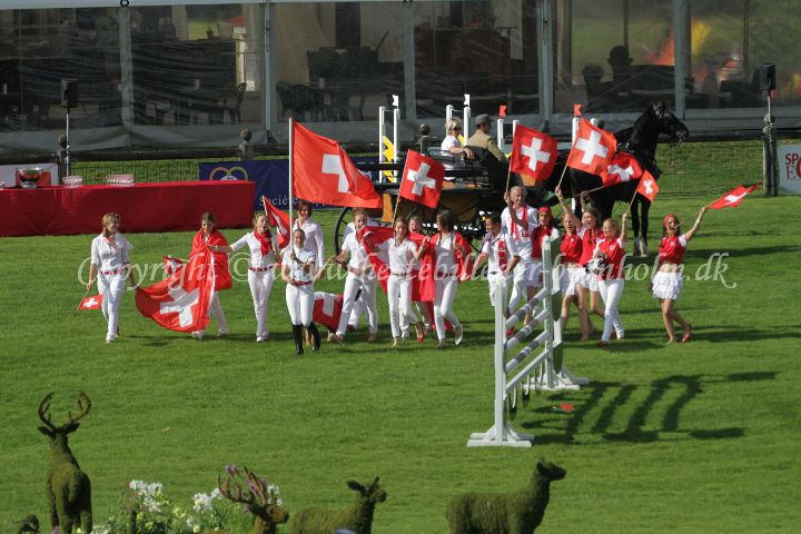 IMG_7993.JPG