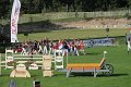 IMG_7991