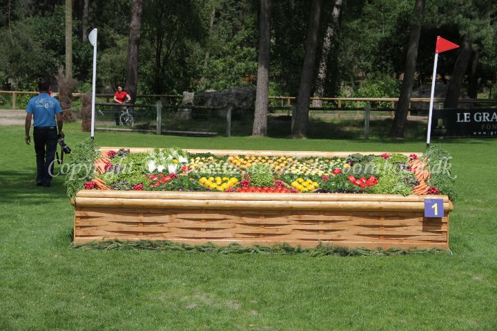 IMG_8060.JPG