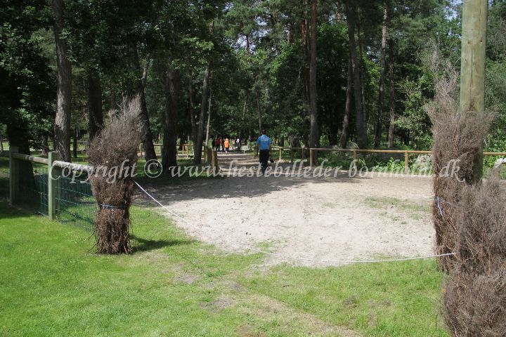 IMG_8061.JPG
