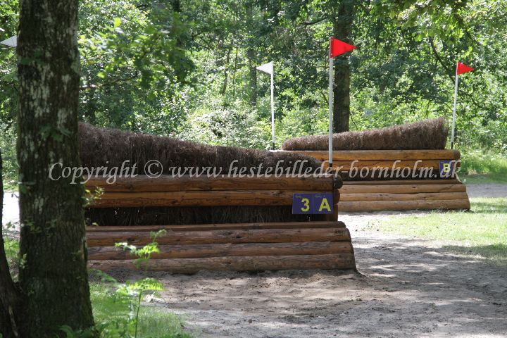 IMG_8063.JPG