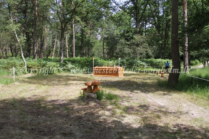 IMG_8069.JPG