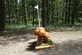 IMG_8105
