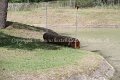 IMG_8124