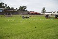 IMG_8128