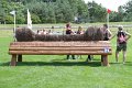IMG_8132