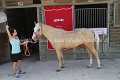 IMG_8053