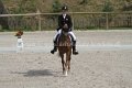 Dressage