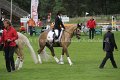 IMG_9384
