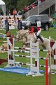 IMG_8931