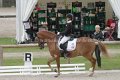 Dressage