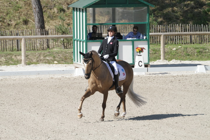 IMG_1707_resize.JPG