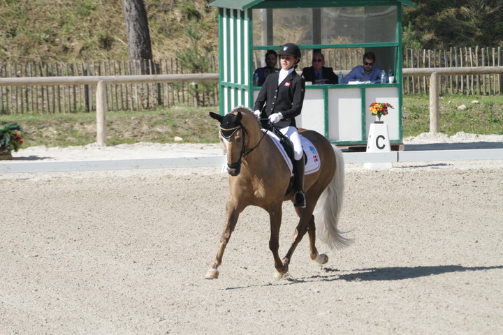 IMG_1708_resize.JPG