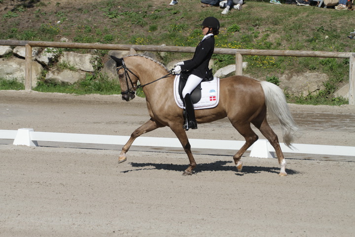 IMG_1716_resize.JPG