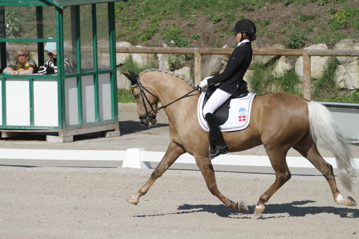 IMG_1720_resize.JPG