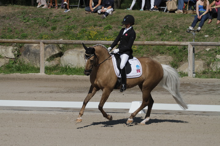 IMG_1729_resize.JPG