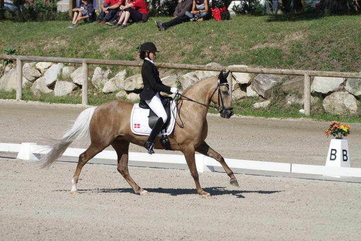 IMG_1742_resize.JPG