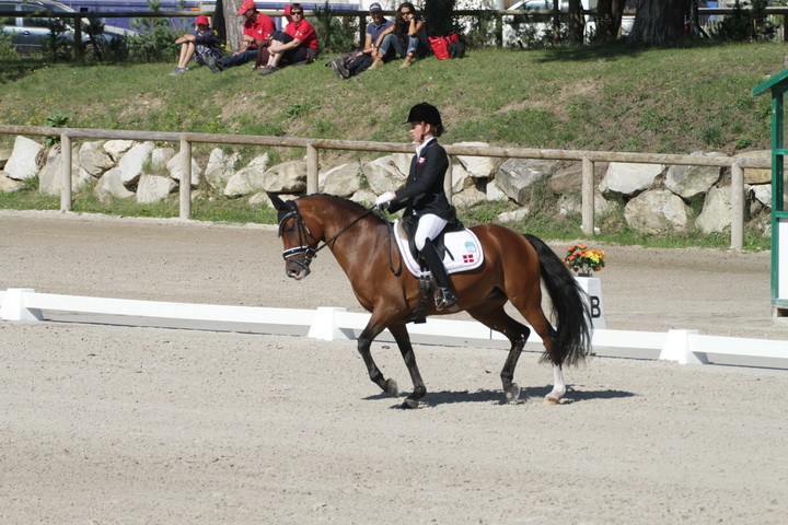IMG_1774_resize.JPG