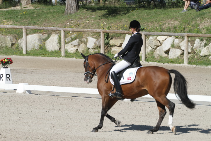 IMG_1775_resize.JPG