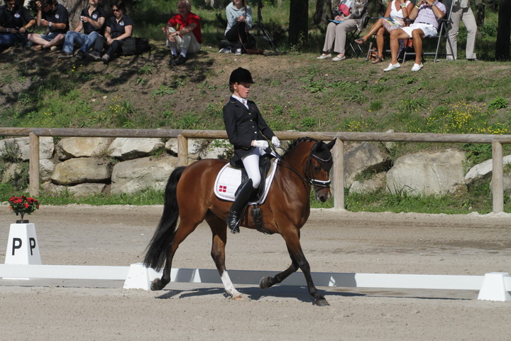 IMG_1782_resize.JPG