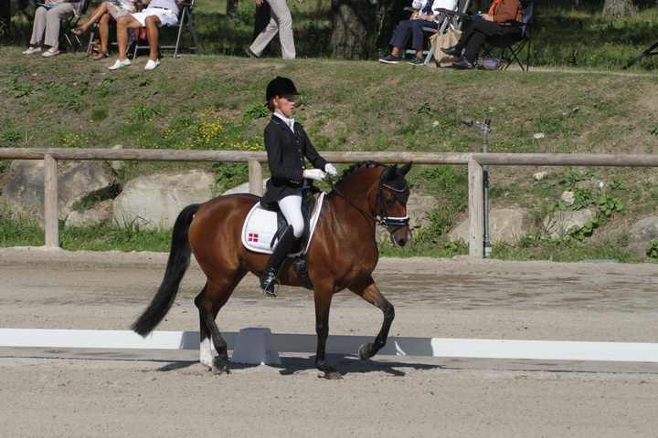 IMG_1783_resize.JPG