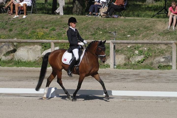 IMG_1784_resize.JPG