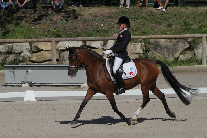 IMG_1790_resize.JPG