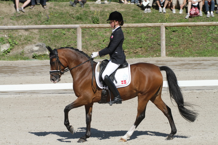 IMG_1809_resize.JPG