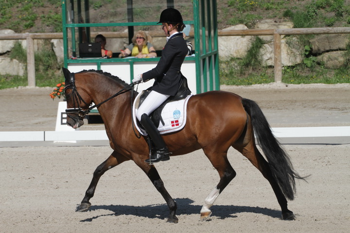 IMG_1830_resize.JPG