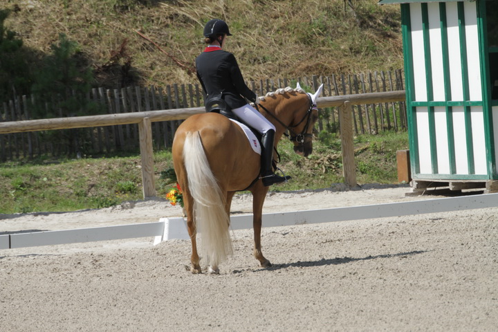 IMG_1895_resize.JPG