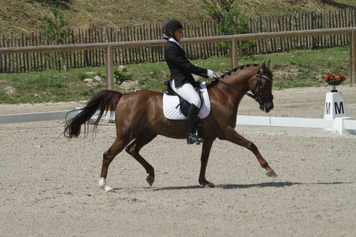 IMG_1899_resize.JPG